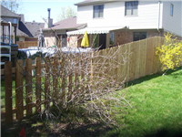 Fence Gallery Photo - Transitioninf grom the outside.jpg